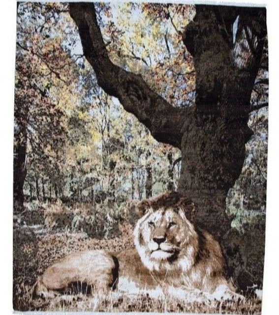 512 - Indian Modern Fine Hand-knotted Wool & Silk Area Rug