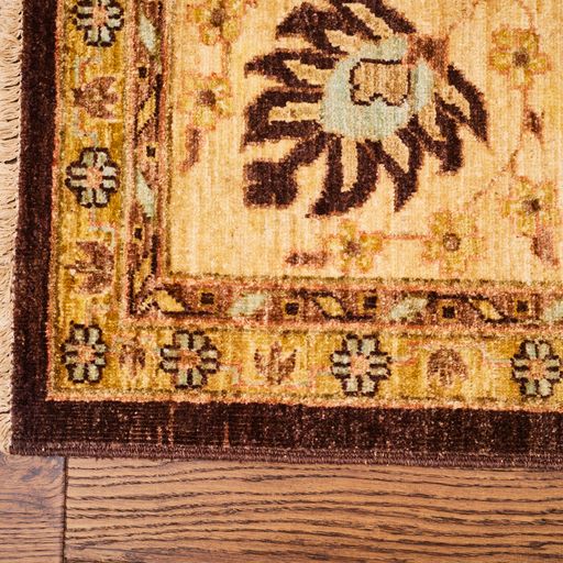 Pakistan Handmade Wool Bakhtiari Rug With A Persian Design
