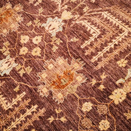 Pakistan Handmade Wool Bakhtiari Rug With A Persian Design